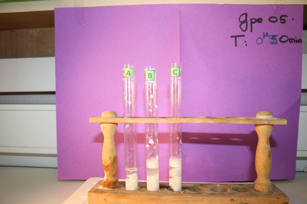 gal/LES_CINQUIEMES/ACTIVITE DIGESTION IN VITRO/Groupe_05/Groupe05_T_00h50min/Groupe05_T_00h_50min_7.JPG